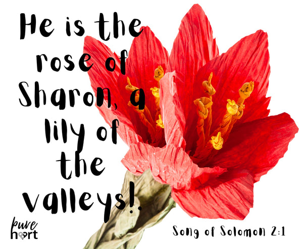Mouse pads with Biblical Scripture in English - Song of Solomon 2:1